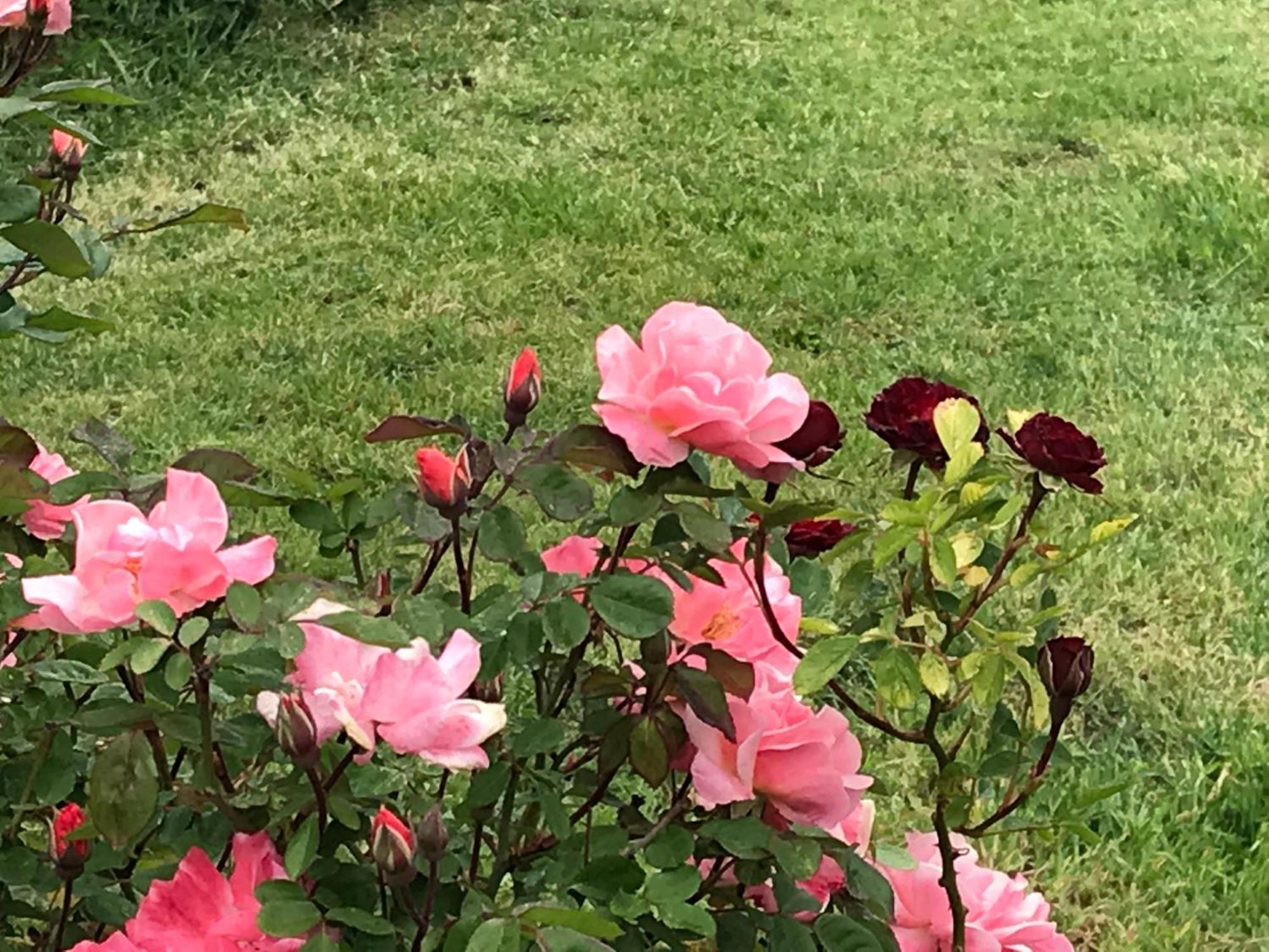 سانت بييرّي Affittacamere Verger Plein Soleil المظهر الخارجي الصورة